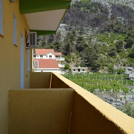 Hotel Bolonja 3*